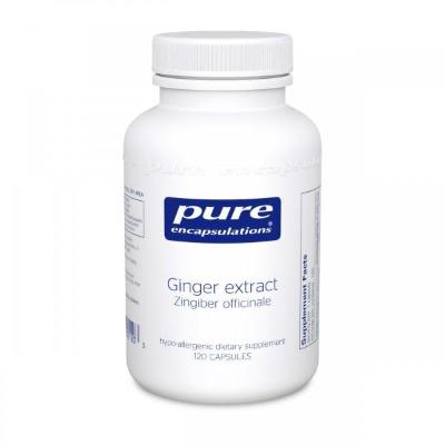 Ginger extract (#120 capsules)